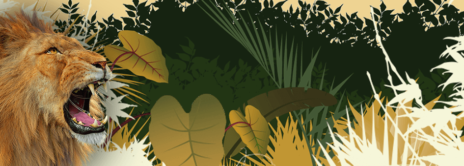 Casimba Casino Welcome bonus Up To  £250 + 50 Bonus Spins