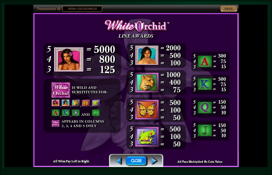 white orchid slot machine detail image 5
