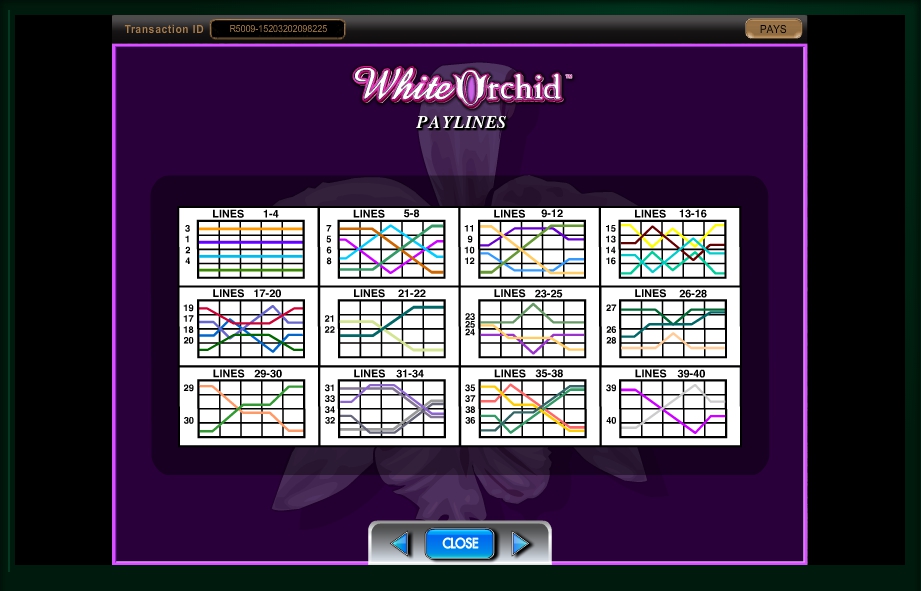 white orchid slot machine detail image 1