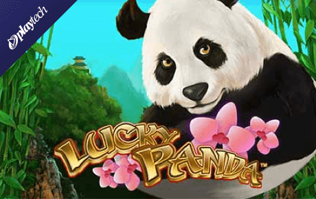 slot lucky panda