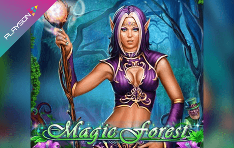 Magic Forest Playson Magic Forest Playson