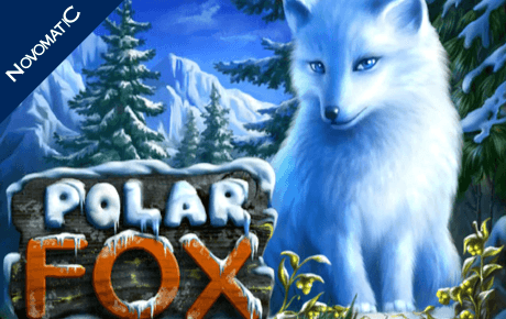 Polar Fox Novomatic Polar Fox Novomatic