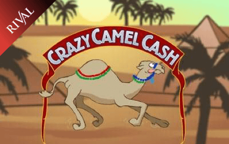 Crazy Camel Cash Rival Crazy Camel Cash Rival
